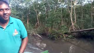 Caroni Swamp in Trinidad, wildlife sanctuary and homeland of the Scarlet Ibis, National Bird ๐น๐น Caroni Swamp in Trinidad, wildlife sanctuary and homeland of the Scarlet Ibis, National Bird ๐น๐น