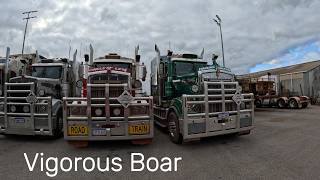 Another quad road train and a single to Perth