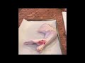 Easy Carve Holiday Turkey with Jimmy The Butcher