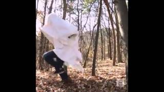 Best Vines Compilation Of The World