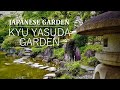 Walking around a japanese garden in tokyo  beautiful moss fesh green  kyu yasuda garden