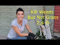 Kill weeds but not grass with 24d