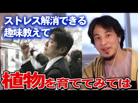 【ひろゆき】子供がストレス？趣味が無い 33歳男 まずは●●してみてください #切り抜きキャリア #論破