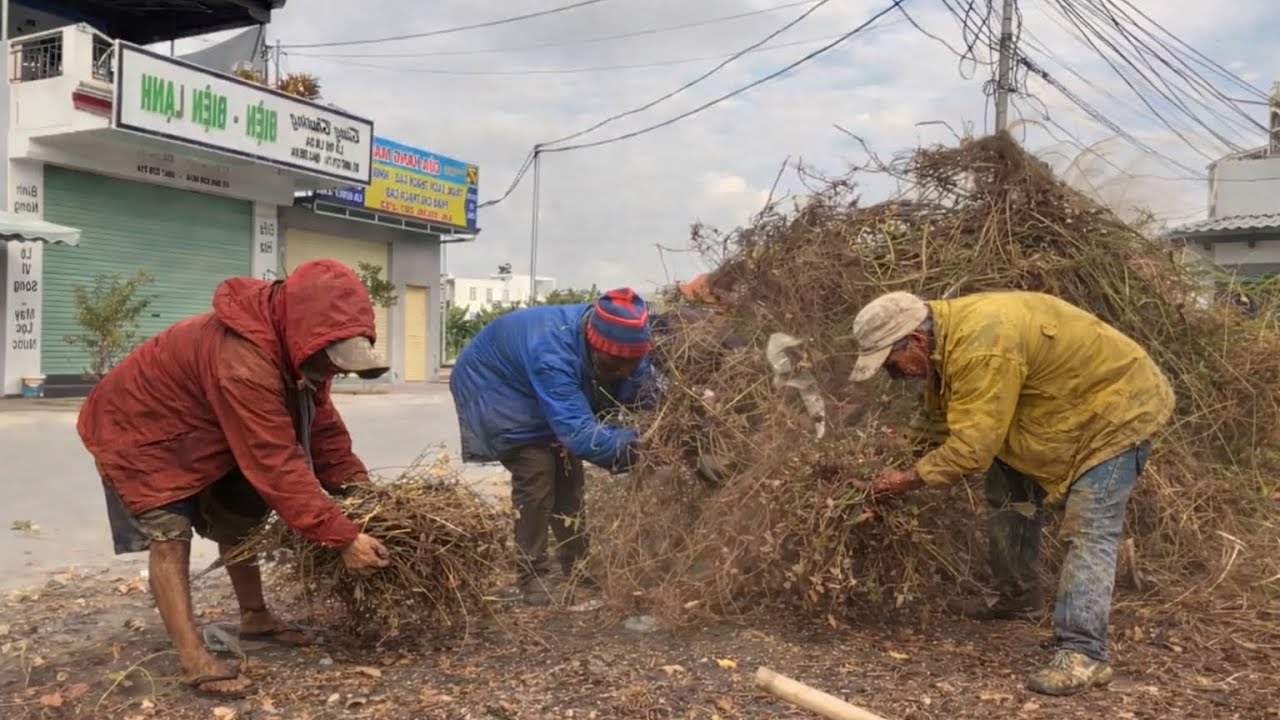 💔 Shocking Cleanup: A Homeless Man Joins Us to Fix a Rotten Sidewalk Disaster