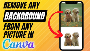 How To Remove Images Background In Canva Mobile App (2026)