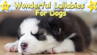 Super Relaxing Sleep Music For Dogs And Puppies ♫ Calm Your Dog Effectively Within 3 Minutes