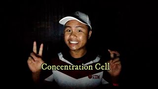 SSCC 2453 (01): Concentration Cell - Group 3