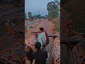 હા તમારી મોજ હા #વઢીયારા_બળદ #ox #viral #shorts #viralshorts