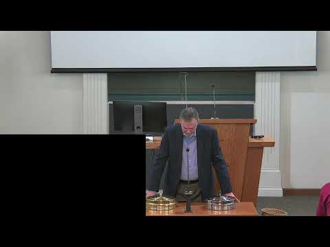 Video preview