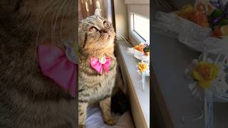 Pofidiğimm.🩷😻I