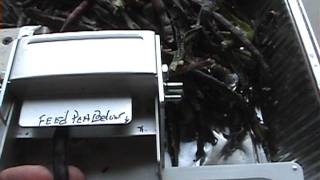 pea sheller lee brand.avi