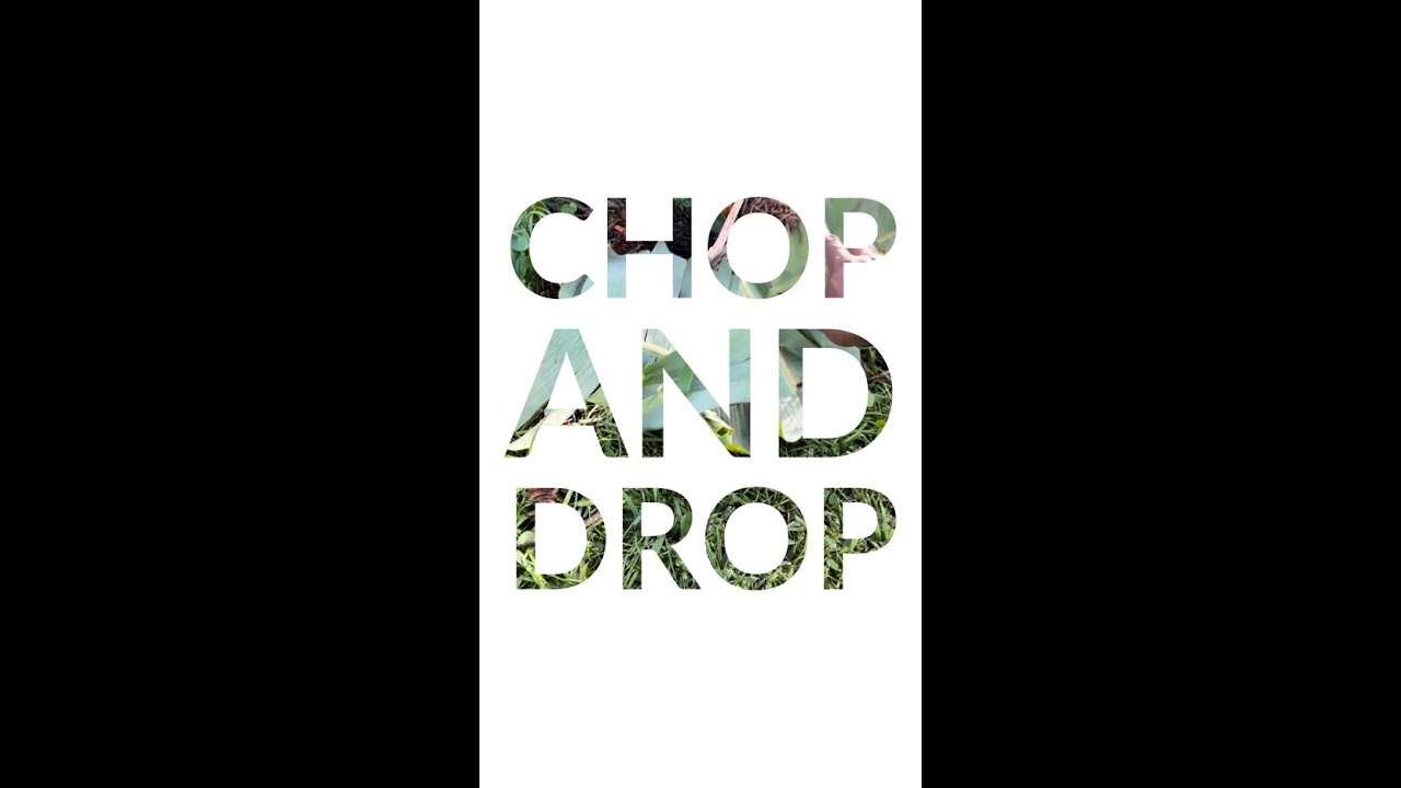 Chop N Drop