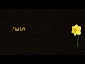 EMDR | trauma verwerking | heling | zelf hulp