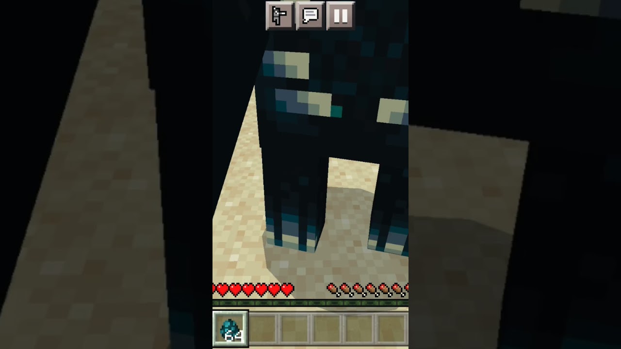 how to turn down the warden's darkness effect