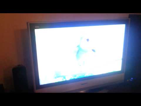 Raspberry pi looping video play on startup