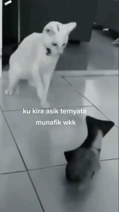 kukira asik ternyata munafik
