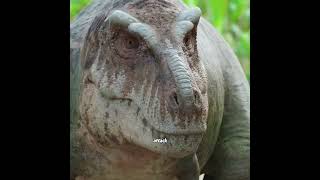 One Strike From a Triceratops Nearly Cost a T-Rex Its Life!