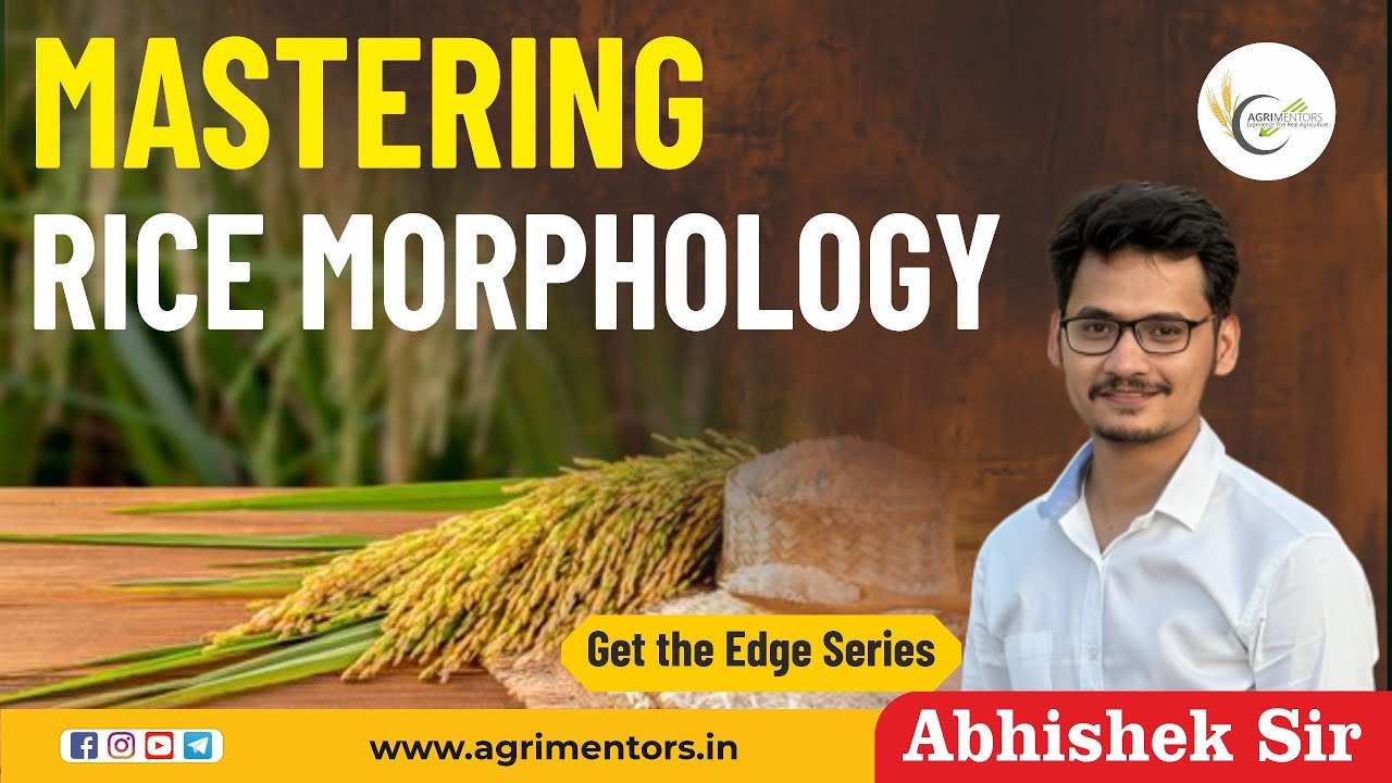 Edge Rice Pifra Mastering Rice Morphology | Get the Edge Series | - YouTube