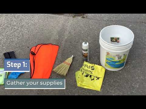 How to Stencil a Storm Drain