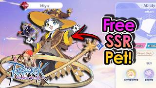[ROTNW] STOP Wasting Your Gacha! Catch FREE SR & SSR Pets in Ragnarok: The New World! | King Spade screenshot 2