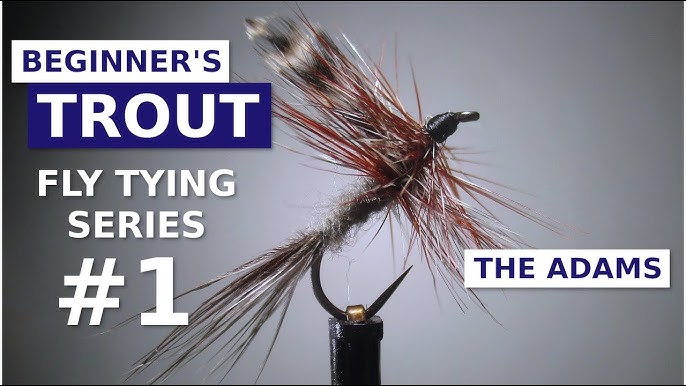 A Beginners Guide To Getting Started With Fly Tying Flies 