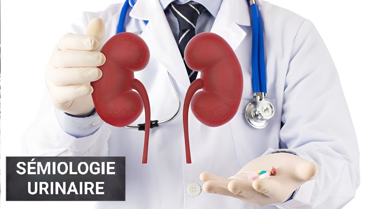 SÉMIO-URO✅: SÉMIOLOGIE DE L'APPAREIL URINAIRE ..3ÈME MÉDECINE ✅.Unité3♥️🩺