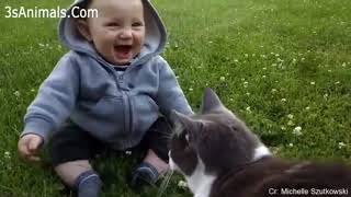 اطفال و قطط يلعبون معا .Baby and Cats Playing Together