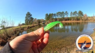 Zman  Minnoz Fishing Frenzy!!