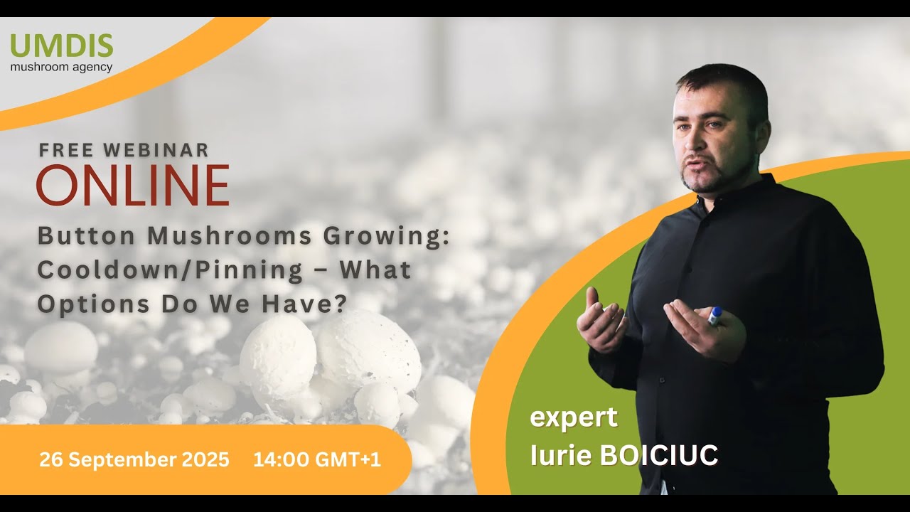Cooldown Pinning in Mushoom growing with Iurie Boiciuc  Live webinar