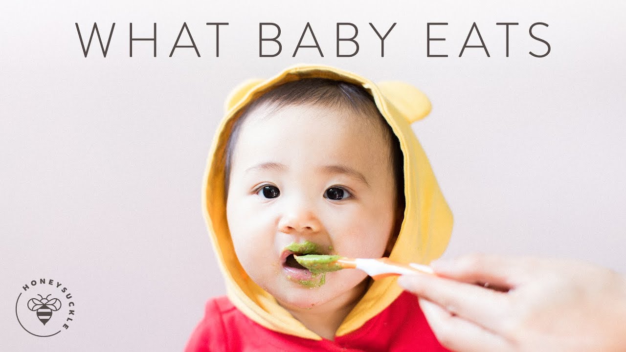 what-baby-eats-in-a-day-homemade-baby-food-honeysuckle-youtube
