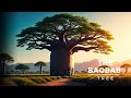 The Baobab Tree Africa S Miracle Secret 