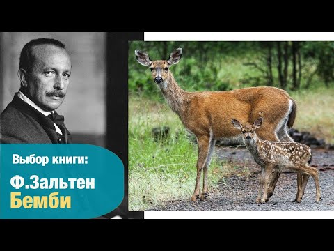 БЕМБИ: смысл сказки. Выбор книги | Детская книжная полка БЕМБИ: смысл сказки. Выбор книги | Детская книжная полка