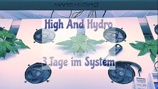 High And Hydro - Folge 2 - 3 Tage im System