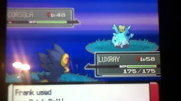 First shiny Corsola, at a chain of 40