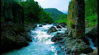 Tranquil River Ambience – Soft Stream and Forest Sounds for Deep Sleep and Inner Peace