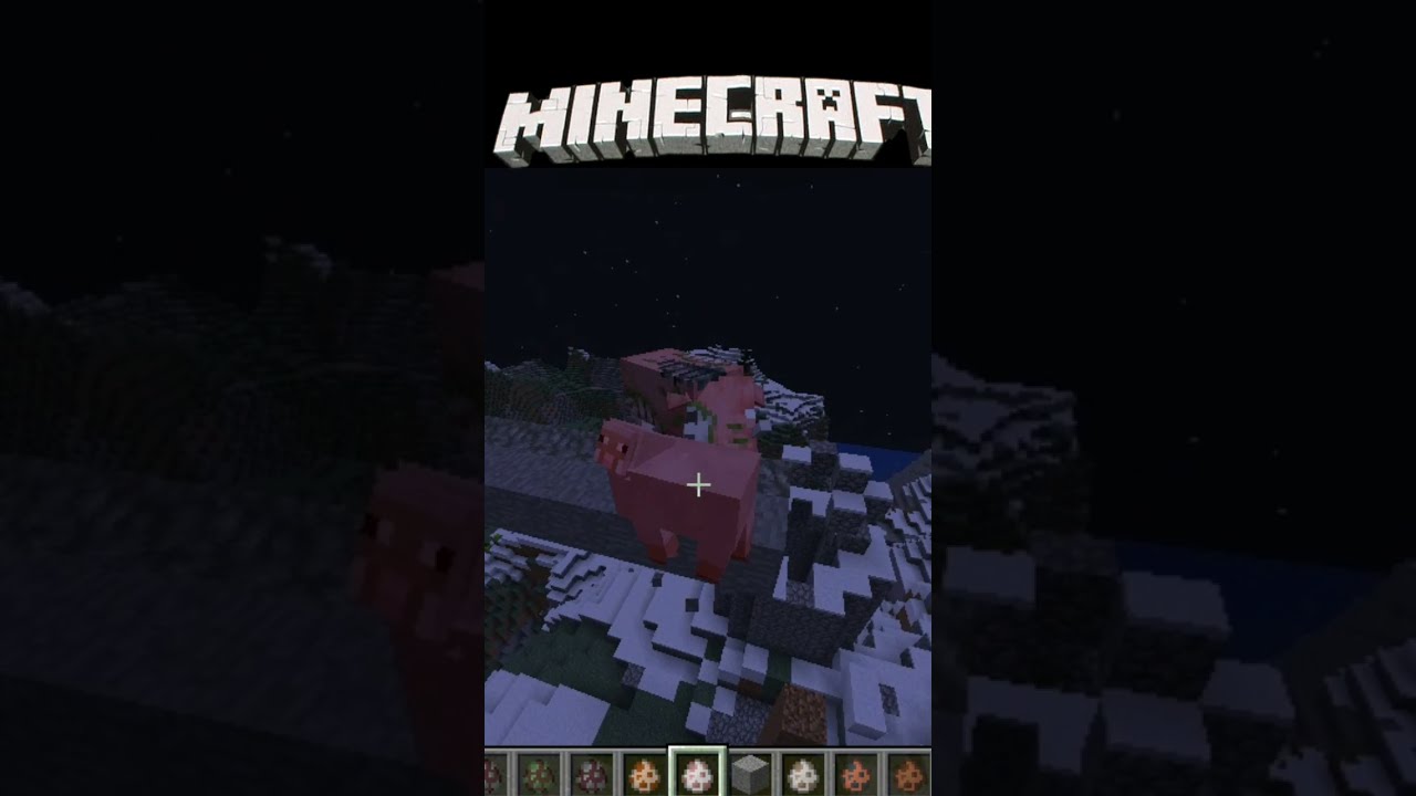 Minecraft short video 