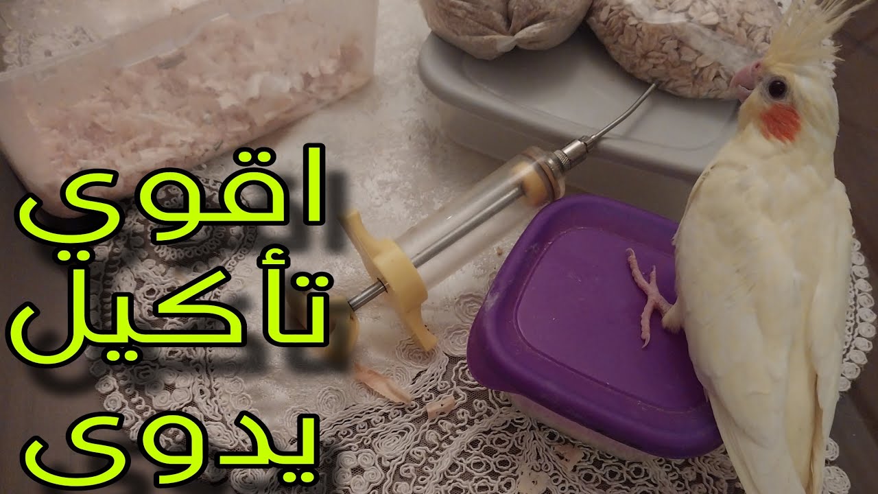 أقوى خلطة تاكيل يدوى ممكن تحضرها فى  البيت/رخيصة وسهلة
