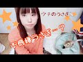 ウチのうさぎ紹介