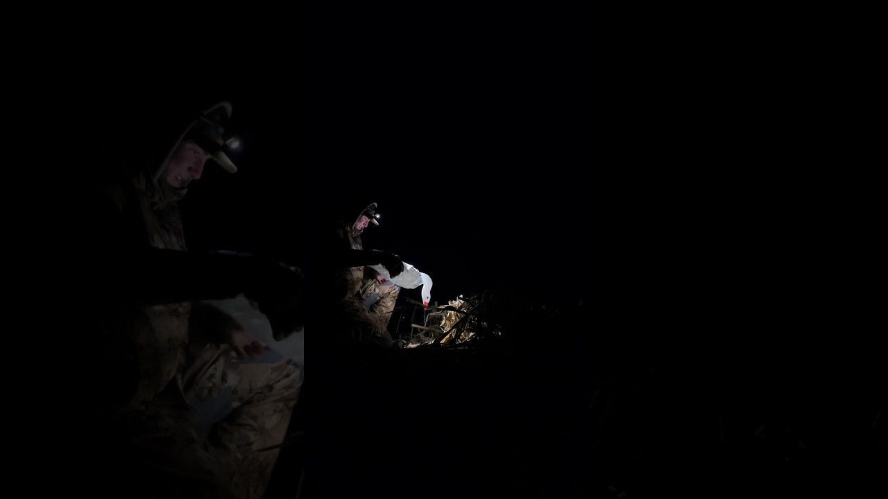 Let It Snow❄️❄️❄️