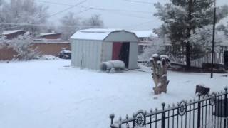 Snow in Douglas az 12