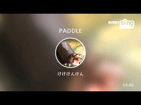 [everysing] PADDLE
