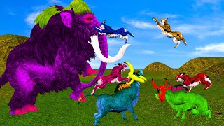 Giant bull vs monster lion tiger saved by woolly mammoth elephant