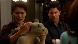 The Librarians and the Cost of Education | Introducing Stumpy