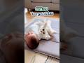 【天才】赤ちゃんの寝返り練習に付き合うマルチーズ🐶👶💕 [Genius] The Maltese Who Helps a Baby Roll Over