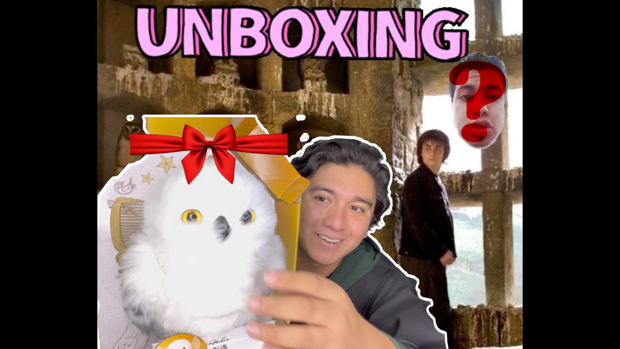 UNBOXING HEDWIG DE HARRY POTTER INTERACTIVO