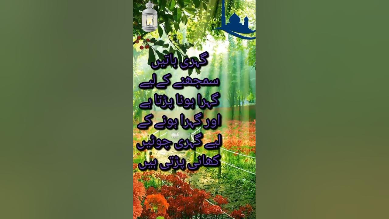 Urdu Quotes Islamic reel Aqwal e zareen YouTube