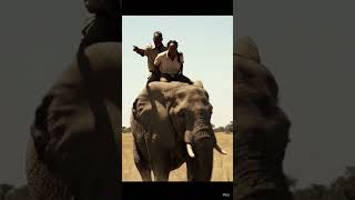 attack the lion #shortvideo #wildlife #wildanimalattack