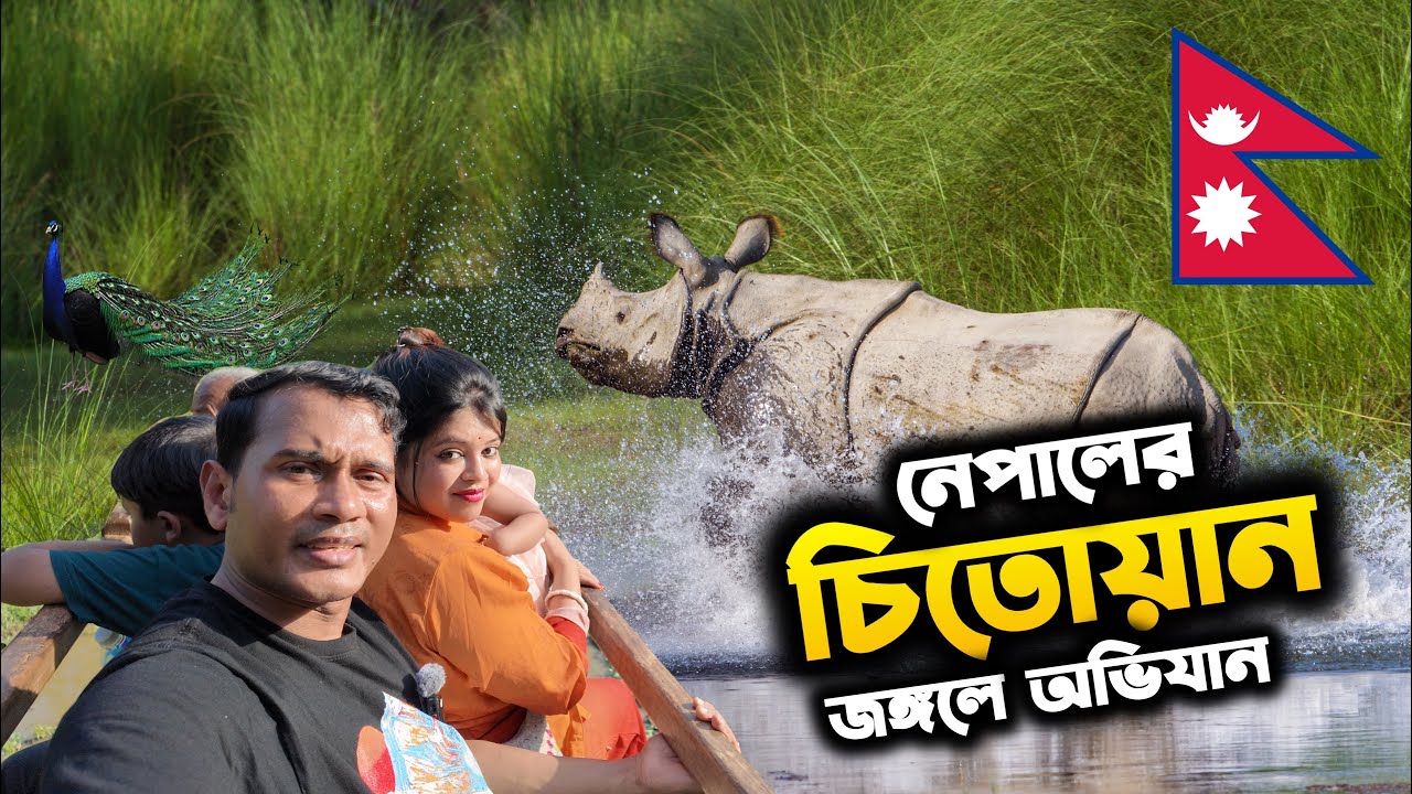 Chitwan National Park Travel Guide |🇳🇵 Nepal | কি দেখবেন, কোথায় থাকবেন | Pokhara to Chitwan