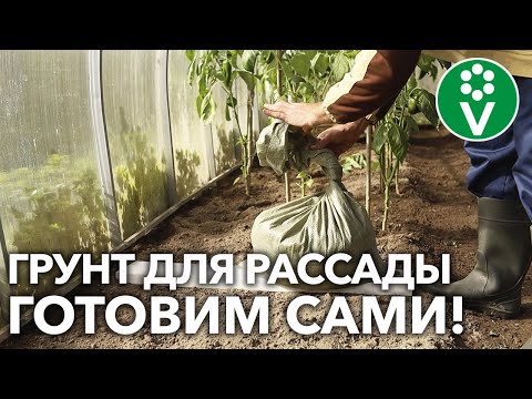 3 самых простых способа приготовления грунта, которые может реализовать каждый!