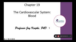 Chapter 19 Video 1